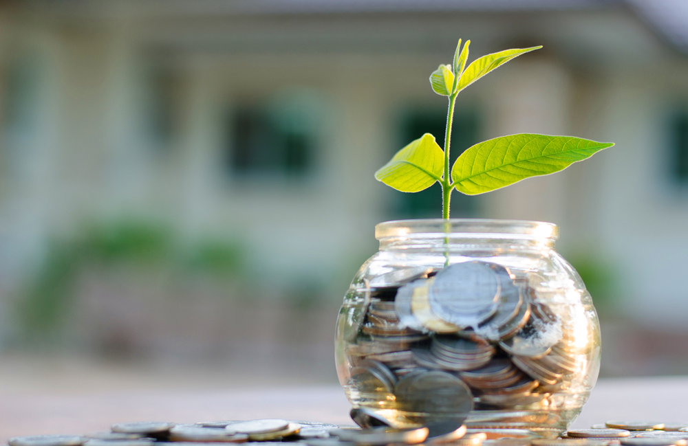 Wealth Management Tips